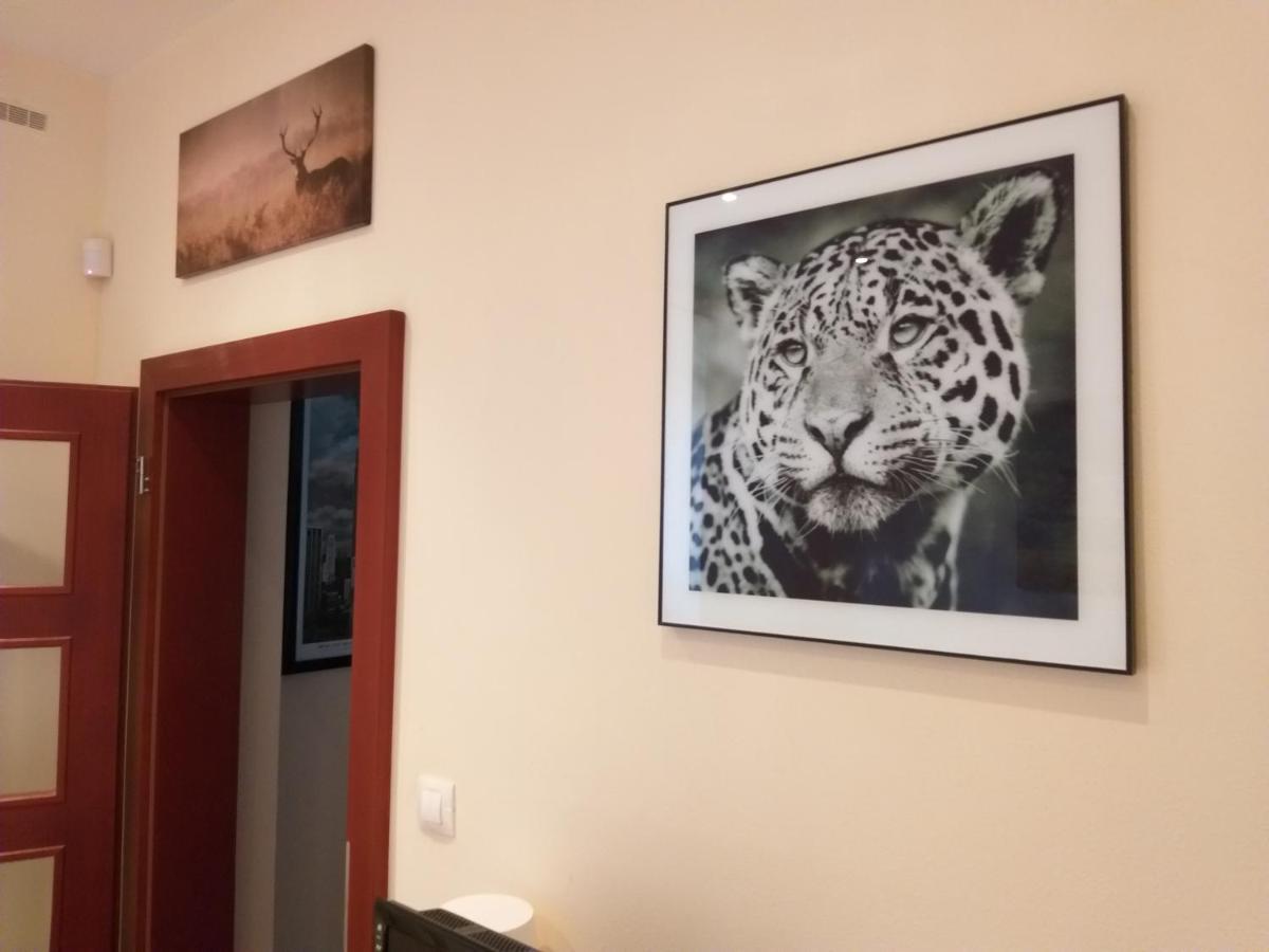 M10 Old Town Apartments Koszyce Zewnętrze zdjęcie